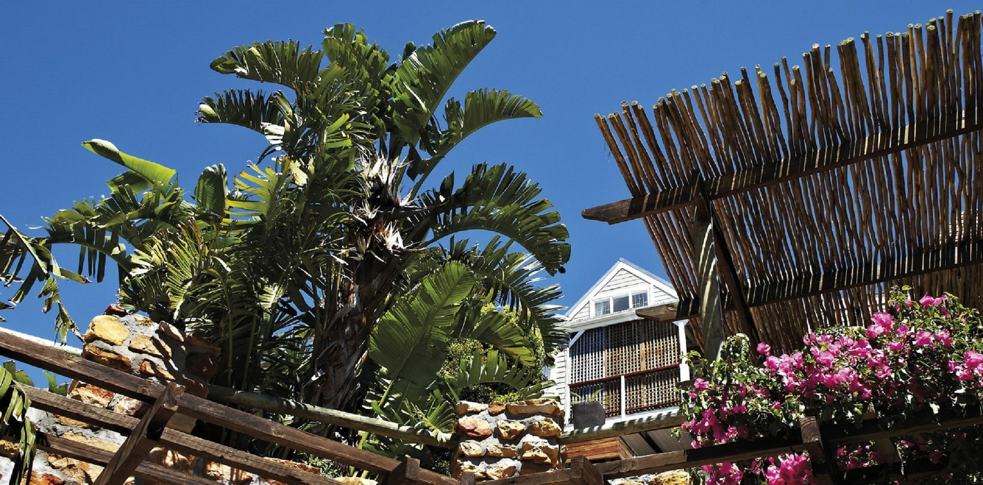African Violet Guest Suites Noordhoek Eksteriør bilde