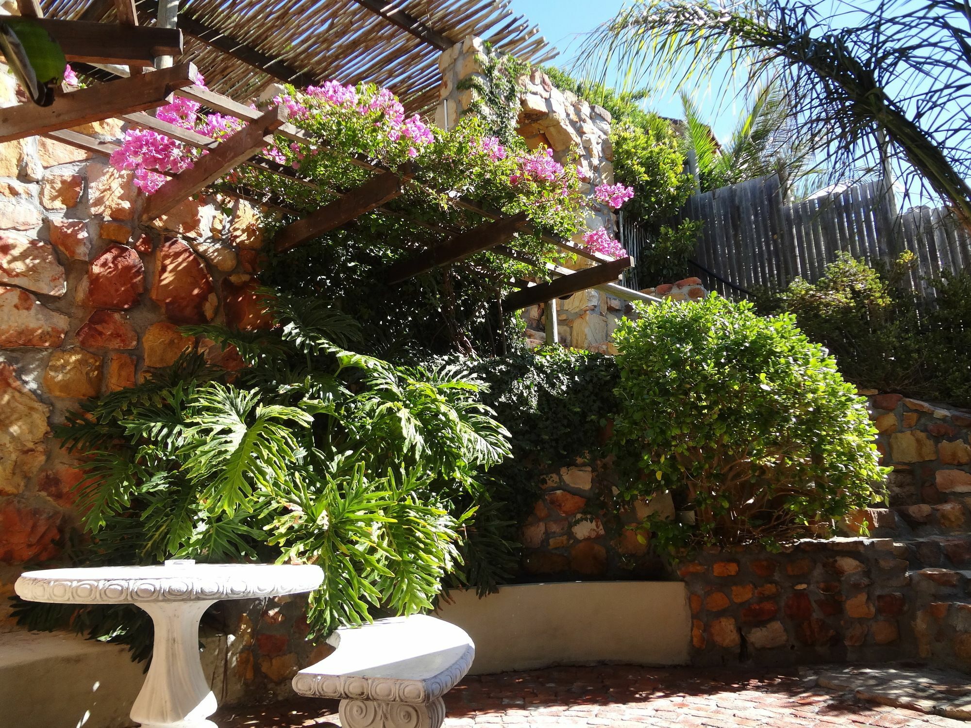 African Violet Guest Suites Noordhoek Eksteriør bilde